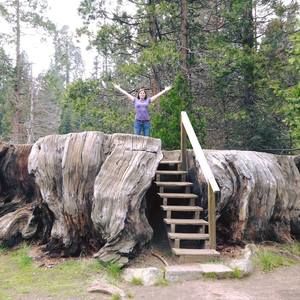 Meet your Posher, Hollie